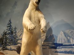 -陕西自然博物馆