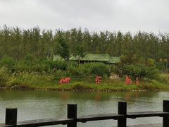 -合肥滨湖国家森林公园