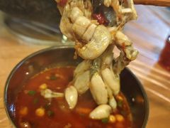 -鸿顺老铁锅美蛙鱼府(解放碑店)
