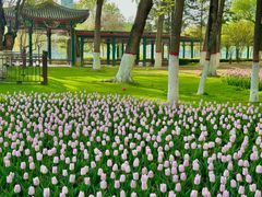 -西宁市人民公园(城西区)