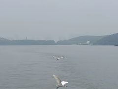 -蠡湖大桥公园