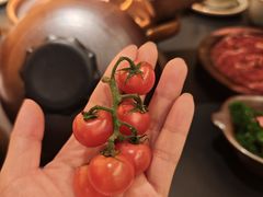-季季山·云南野生菌火锅(上海首店)