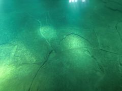 -白鹤梁水下博物馆
