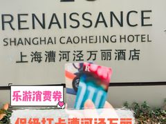 -上海漕河泾万丽酒店