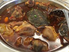 甲鱼-鑫皇朝酒店(建设一路店)