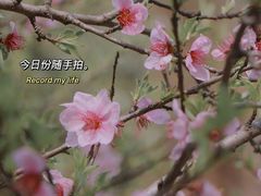 -长广溪湿地公园