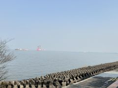 -上海滨江森林公园