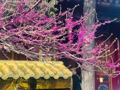 -西安市广仁寺