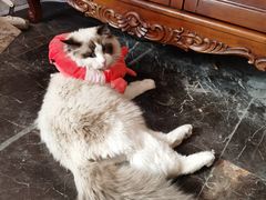 -NINES推理馆(曲江公馆店)