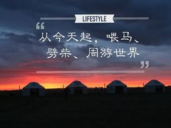 -贡格尔草原