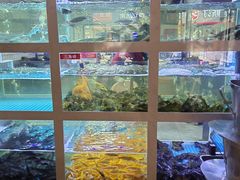 -石锅苗苗鱼(武汉首店)