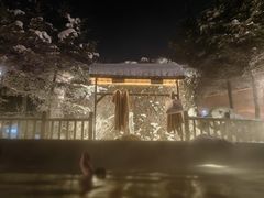 -汉拿山温泉度假酒店