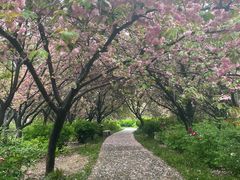 -洛阳市隋唐城遗址植物园