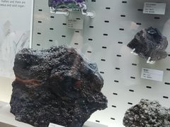 -浙江自然博物院(杭州馆)