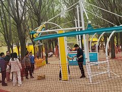 -西部长青自然儿童乐园