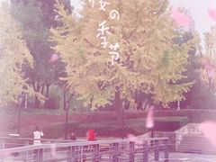 -苏州河梦清园环保主题公园