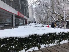 -多克多蒸气茶DOKDO(鼓楼绿地店)