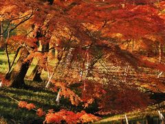 -九曜山