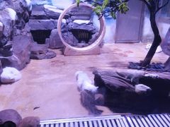 -上海海昌海洋公园