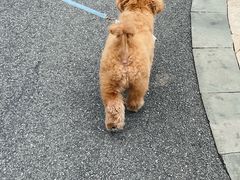 -白石龙音乐公园