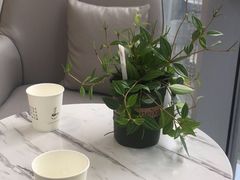 -康利眼镜·蔡司战略合作店(龙泉书房店)