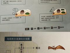 -柳州白莲洞洞穴科学博物馆