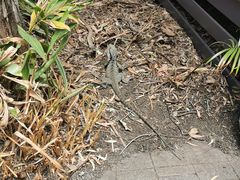 -可伦宾野生动物保护区