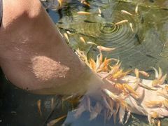 -三亚海棠湾南田温泉神龙谷
