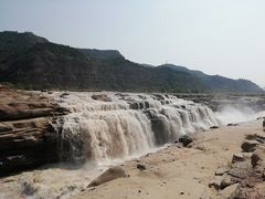 芙蓉面-贺莉嫂北二巷香菇芙蓉面(抗大商厦店)