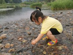 -白河湾生态旅游一条川