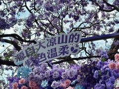 -西昌邛海湿地