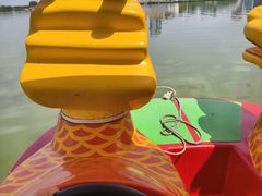 -阅海欢乐岛