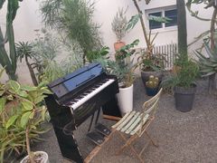 -禧宴Joyous Restaurant(禧园店)