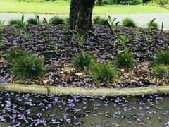 -小小面 Noodle Queen