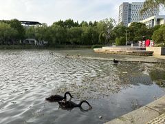 -东华大学(松江校区)