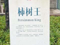 -丹山赤水风景名胜区