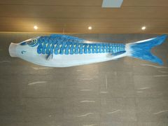 -蓝鲸湾汤泉(包河店)