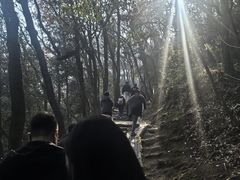 -灵顺寺