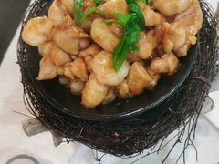 -丁老爷子苏香圆