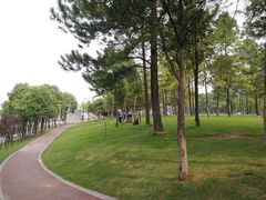 -美兰湖景区