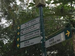-南丫岛