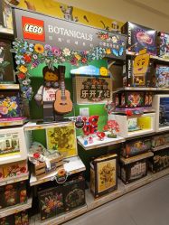 -乐高授权专卖店(南开大悦城店)