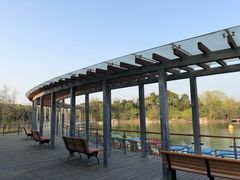 -吴淞炮台湾湿地森林公园烧烤区