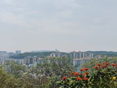 -佛山华盖山公园
