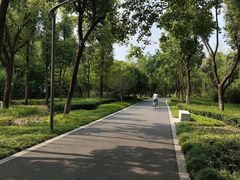 -昆山城市生态森林公园