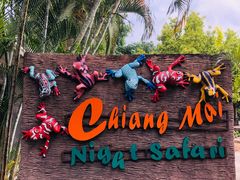 -清迈夜间动物园