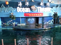 -苏州海洋馆
