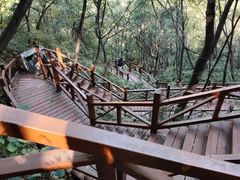 -大岭沟猕猴桃谷风景区