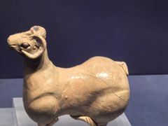 -温州博物馆