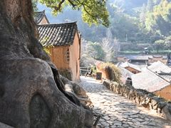 -杨家堂村